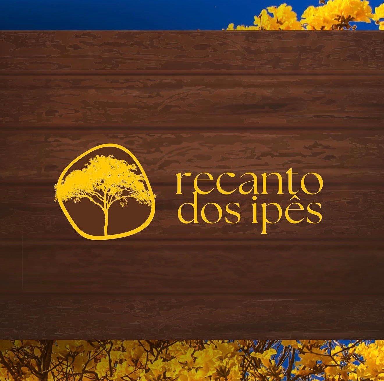 Arte para empresa de turismo e aventura
