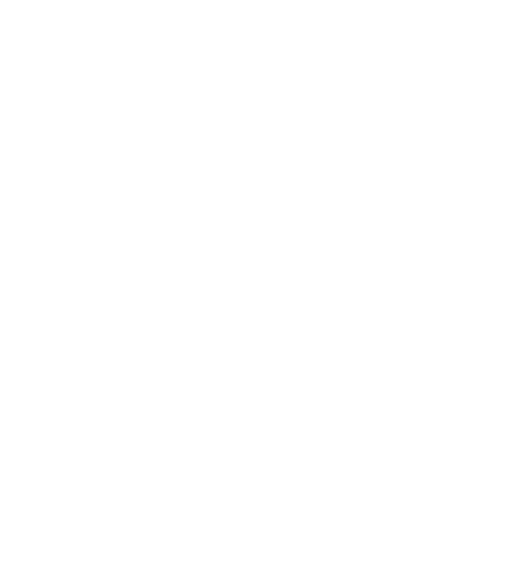 Netto & Léo